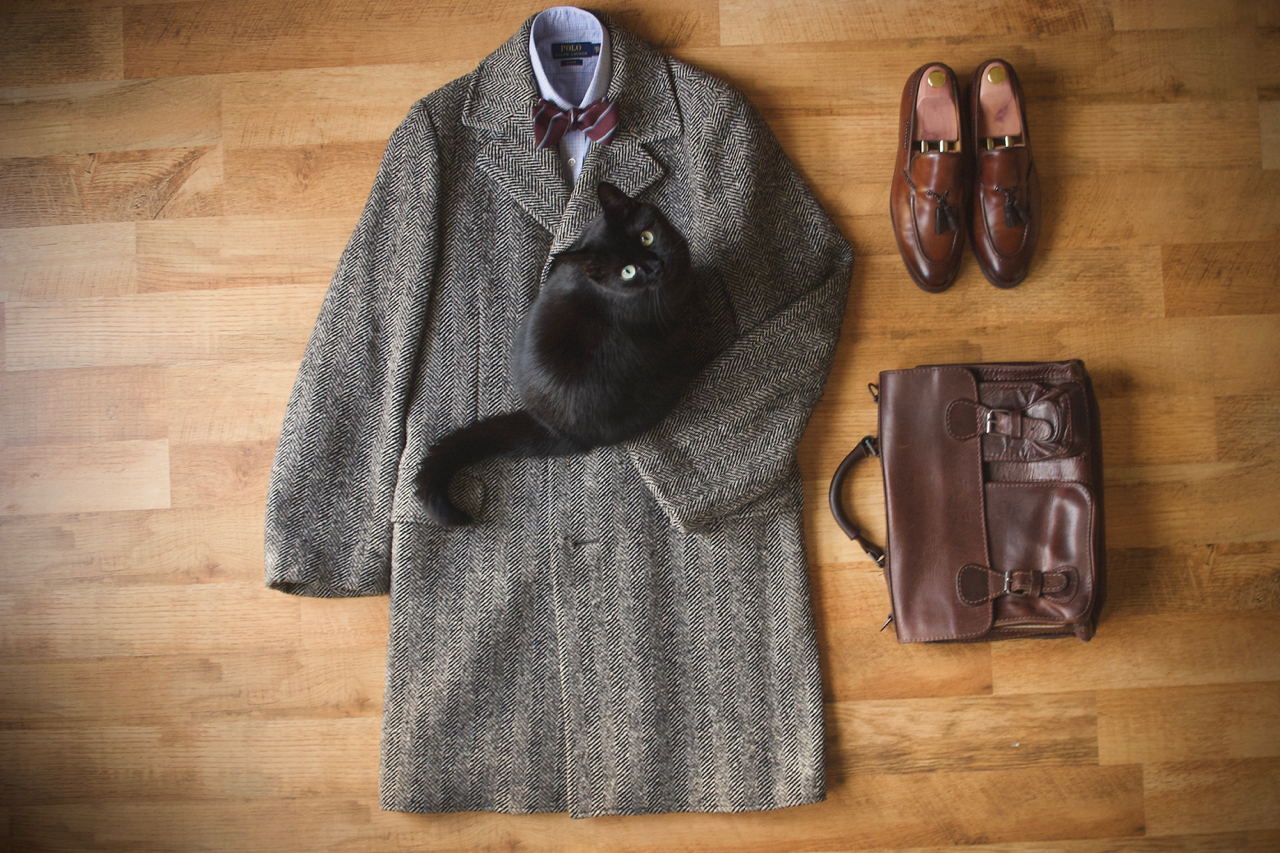 gentlemanstyle-tweed-kabat-macska-fun-cat-overcoat